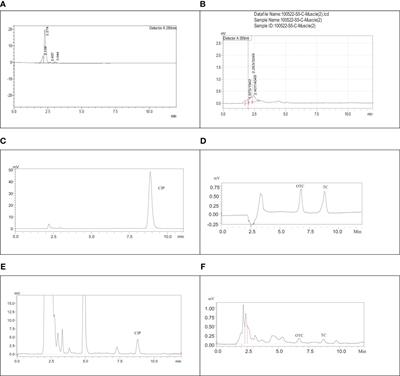 Health risk assessment of ciprofloxacin, tetracycline, and oxytetracycline residues in raw, frozen, and boiled broiler chicken available in a local area of Bangladesh